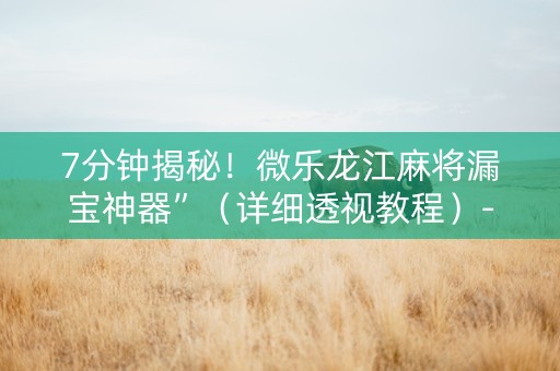 7分钟揭秘！微乐龙江麻将漏宝神器”（详细透视教程）-哔哩哔哩