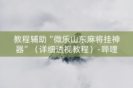 教程辅助“微乐山东麻将挂神器”（详细透视教程）-哔哩哔哩