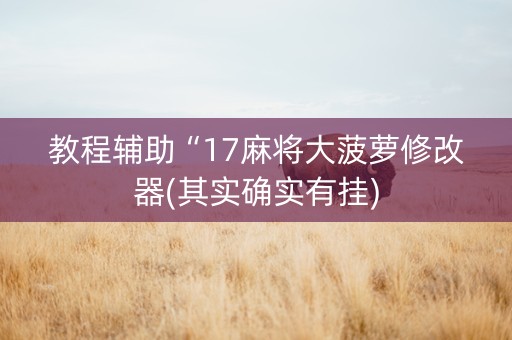教程辅助“17麻将大菠萝修改器(其实确实有挂)
