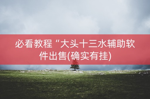 必看教程“大头十三水辅助软件出售(确实有挂)