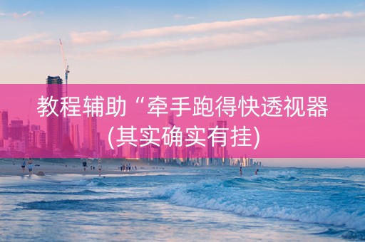 教程辅助“牵手跑得快透视器(其实确实有挂)