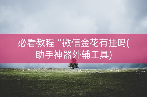 必看教程“微信金花有挂吗(助手神器外辅工具)
