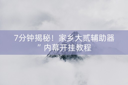 7分钟揭秘！家乡大贰辅助器”内幕开挂教程
