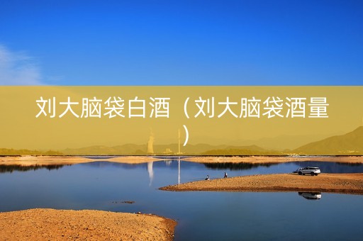 刘大脑袋白酒（刘大脑袋酒量）