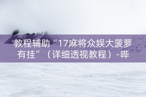教程辅助“17麻将众娱大菠萝有挂”（详细透视教程）-哔哩哔哩