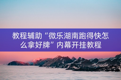 教程辅助“微乐湖南跑得快怎么拿好牌”内幕开挂教程
