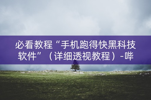 必看教程“手机跑得快黑科技软件”（详细透视教程）-哔哩哔哩