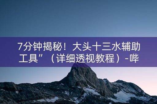 7分钟揭秘！大头十三水辅助工具”（详细透视教程）-哔哩哔哩