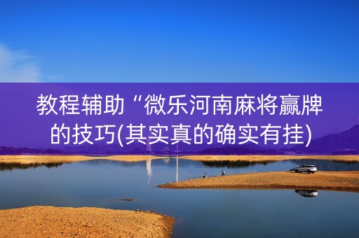 教程辅助“微乐河南麻将赢牌的技巧(其实真的确实有挂)