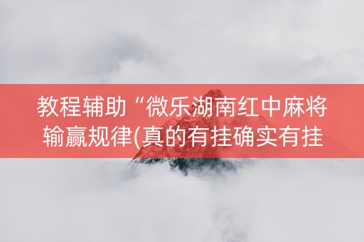 教程辅助“微乐湖南红中麻将输赢规律(真的有挂确实有挂)