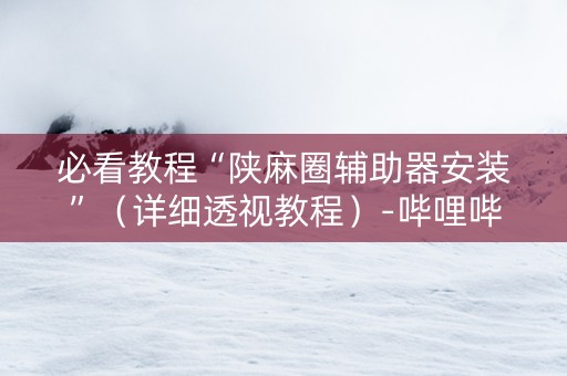 必看教程“陕麻圈辅助器安装”（详细透视教程）-哔哩哔哩