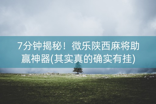 7分钟揭秘！微乐陕西麻将助赢神器(其实真的确实有挂)