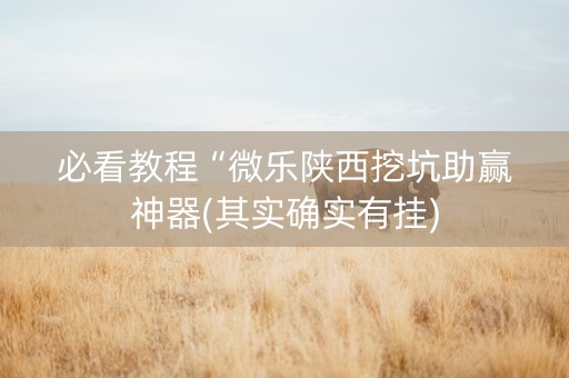 必看教程“微乐陕西挖坑助赢神器(其实确实有挂)