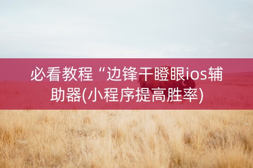 必看教程“边锋干瞪眼ios辅助器(小程序提高胜率)