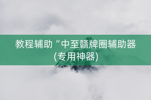 教程辅助“中至赣牌圈辅助器(专用神器)