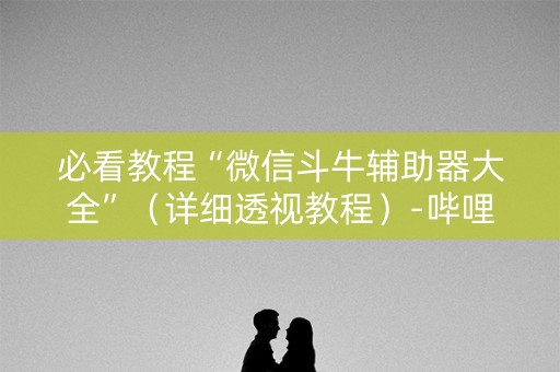 必看教程“微信斗牛辅助器大全”（详细透视教程）-哔哩哔哩
