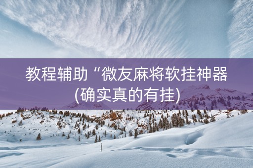 教程辅助“微友麻将软挂神器(确实真的有挂)