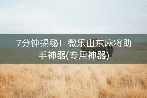 7分钟揭秘！微乐山东麻将助手神器(专用神器)