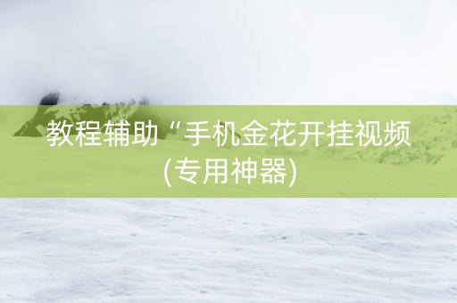 教程辅助“手机金花开挂视频(专用神器)