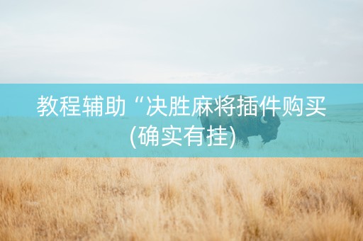 教程辅助“决胜麻将插件购买(确实有挂)