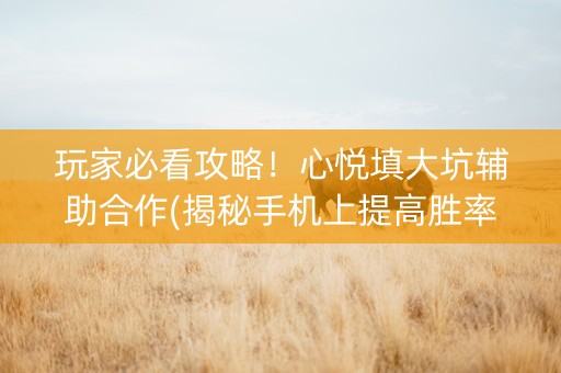 玩家必看攻略！心悦填大坑辅助合作(揭秘手机上提高胜率)