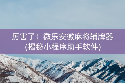 厉害了！微乐安徽麻将辅牌器(揭秘小程序助手软件)
