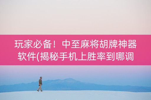 玩家必备！中至麻将胡牌神器软件(揭秘手机上胜率到哪调)