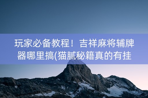 玩家必备教程！吉祥麻将辅牌器哪里搞(猫腻秘籍真的有挂)