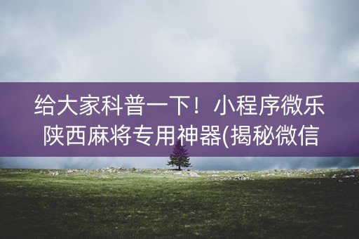 给大家科普一下！小程序微乐陕西麻将专用神器(揭秘微信里系统发好牌)