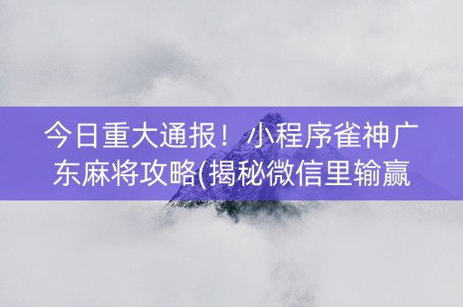 今日重大通报！小程序雀神广东麻将攻略(揭秘微信里输赢技巧)