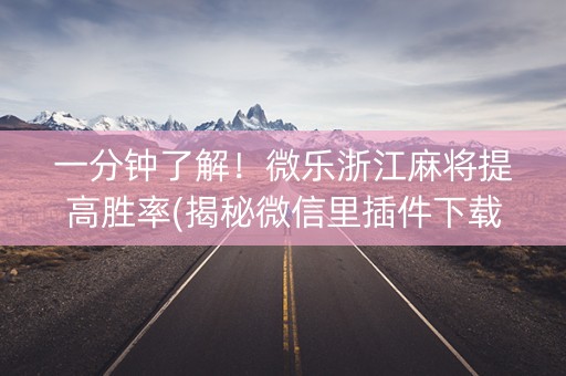 一分钟了解！微乐浙江麻将提高胜率(揭秘微信里插件下载)