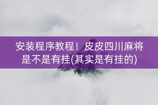 安装程序教程！皮皮四川麻将是不是有挂(其实是有挂的)