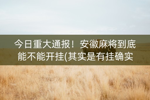 今日重大通报！安徽麻将到底能不能开挂(其实是有挂确实有挂)