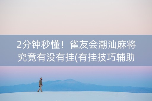 2分钟秒懂！雀友会潮汕麻将究竟有没有挂(有挂技巧辅助器)