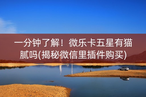 一分钟了解！微乐卡五星有猫腻吗(揭秘微信里插件购买)