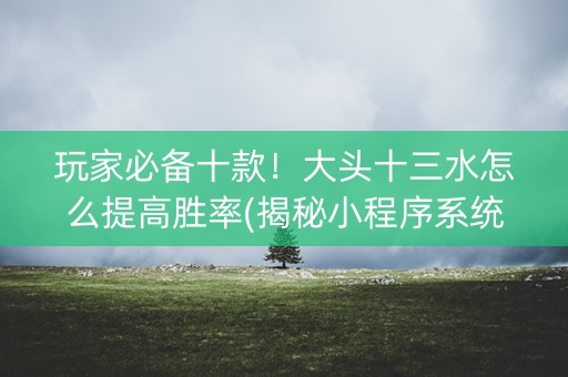玩家必备十款！大头十三水怎么提高胜率(揭秘小程序系统发好牌)