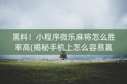 黑料！小程序微乐麻将怎么胜率高(揭秘手机上怎么容易赢)