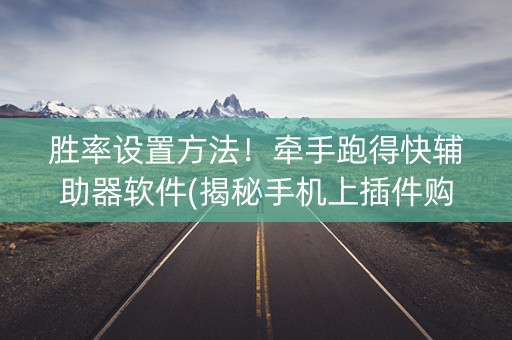 胜率设置方法！牵手跑得快辅助器软件(揭秘手机上插件购买)