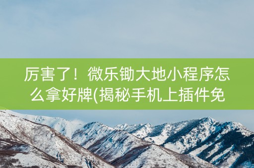 厉害了！微乐锄大地小程序怎么拿好牌(揭秘手机上插件免费)