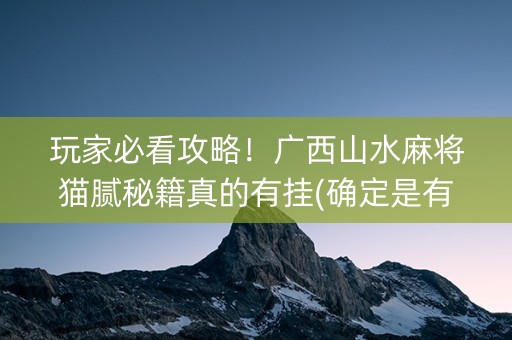 玩家必看攻略！广西山水麻将猫腻秘籍真的有挂(确定是有挂)