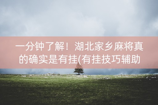 一分钟了解！湖北家乡麻将真的确实是有挂(有挂技巧辅助器)