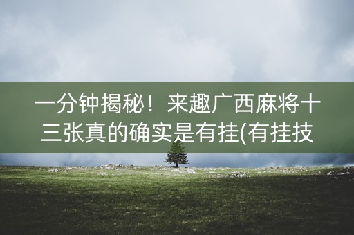 一分钟揭秘！来趣广西麻将十三张真的确实是有挂(有挂技巧辅助器)