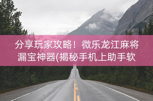 分享玩家攻略！微乐龙江麻将漏宝神器(揭秘手机上助手软件)