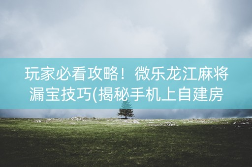 玩家必看攻略！微乐龙江麻将漏宝技巧(揭秘手机上自建房怎么赢)
