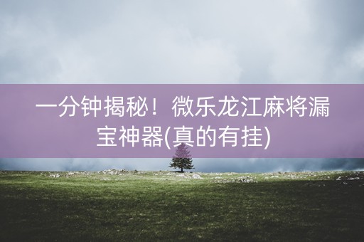一分钟揭秘！微乐龙江麻将漏宝神器(真的有挂)