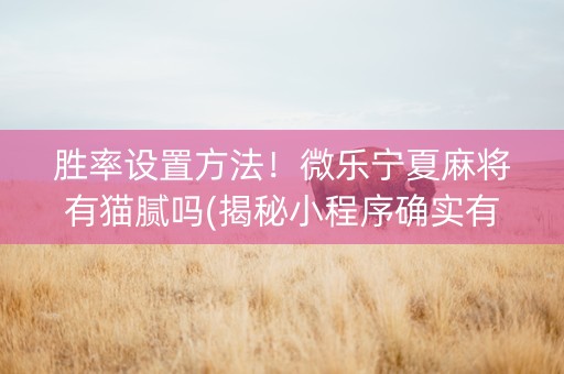 胜率设置方法！微乐宁夏麻将有猫腻吗(揭秘小程序确实有猫腻)