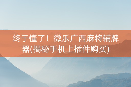 终于懂了！微乐广西麻将辅牌器(揭秘手机上插件购买)