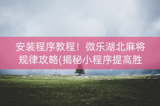 安装程序教程！微乐湖北麻将规律攻略(揭秘小程序提高胜率)