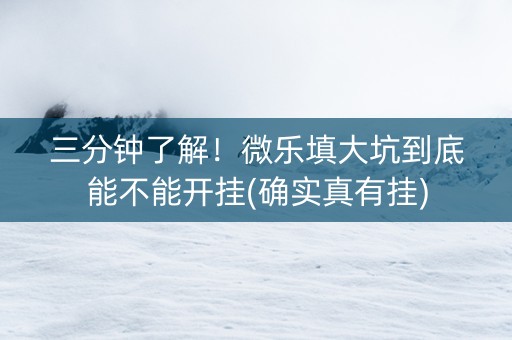 三分钟了解！微乐填大坑到底能不能开挂(确实真有挂)