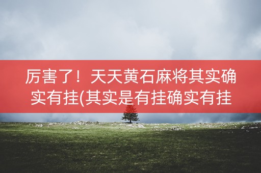 厉害了！天天黄石麻将其实确实有挂(其实是有挂确实有挂)
